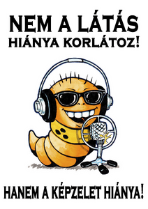 Nem a látás hiánya korlátoz!